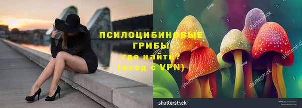 герыч Богородск