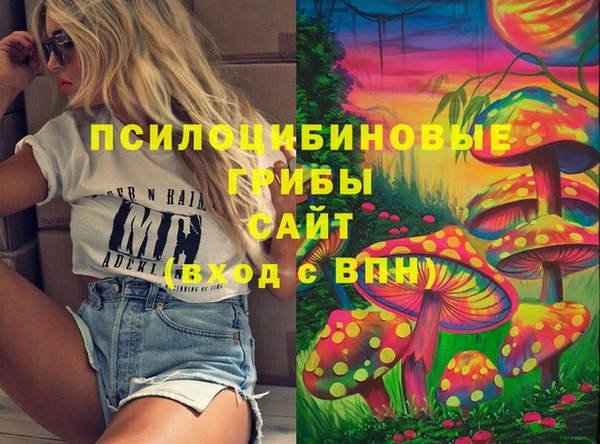 MDMA Premium VHQ Богородицк